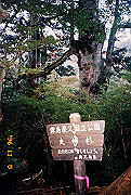 199611-a030_thumb.png