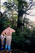 199611-a032_thumb.png