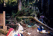 199611-a036_thumb.png