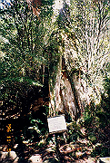 199611-a043_thumb.png