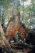 199611-a044_thumb.png