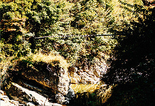 19981114_002_thumb.jpg