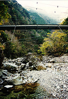 19981114_003_thumb.jpg