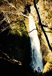 19981114_013_thumb.jpg