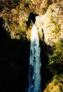 19981114_020_thumb.jpg