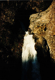 19981114_022_thumb.jpg