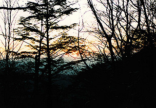 19981115_002_thumb.jpg