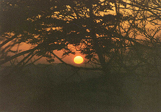 19981115_003_thumb.jpg