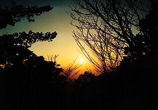 19981115_004_thumb.jpg