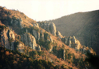 19981115_007_thumb.jpg