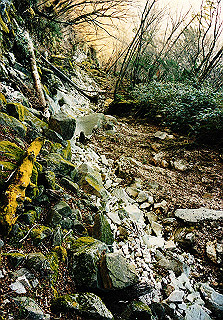 19981115_012_thumb.jpg