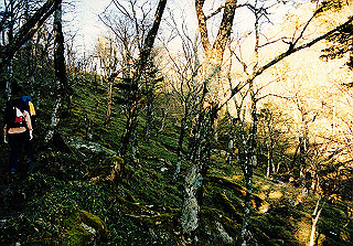19981115_014_thumb.jpg