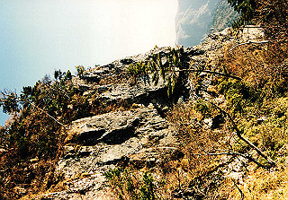 19981115_021_thumb.jpg