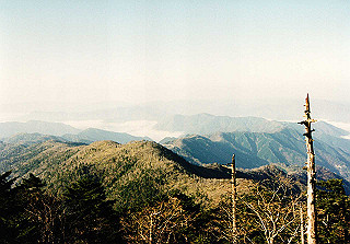 19981115_024_thumb.jpg
