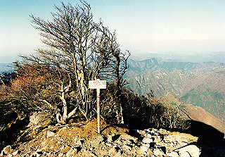 19981115_031_thumb.jpg