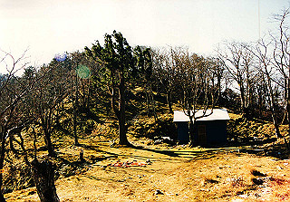 19981115_039_thumb.jpg