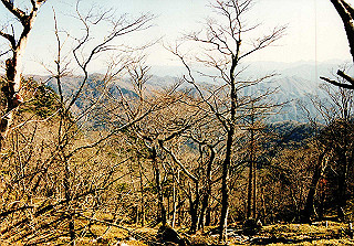 19981115_041_thumb.jpg