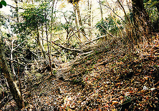 19981115_045_thumb.jpg