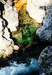 19981115_053_thumb.jpg