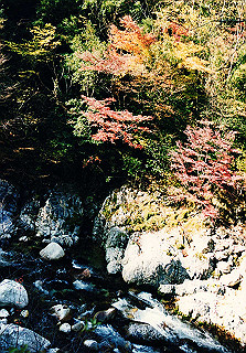 19981115_054_thumb.jpg