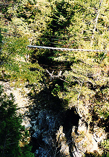 19981115_055_thumb.jpg