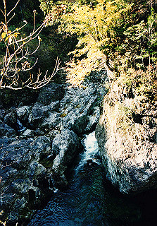 19981115_057_thumb.jpg