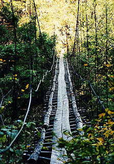 19981115_058_thumb.jpg