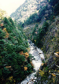 19981115_060_thumb.jpg
