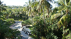 dsc00002_thumb.jpg