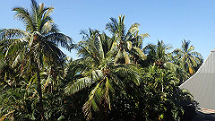 pa270075_thumb.jpg