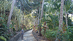 pa270081_thumb.jpg
