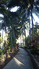 pa270082_thumb.jpg