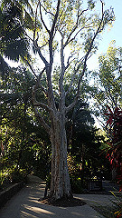 pa270083_thumb.jpg