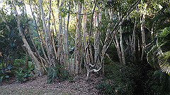 pa270093_thumb.jpg