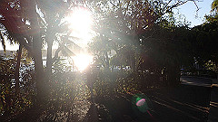 pa270097_thumb.jpg