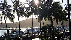 pa270100_thumb.jpg