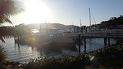 pa270101_thumb.jpg