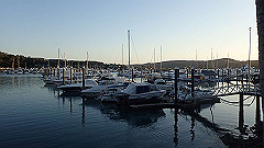 pa270115_thumb.jpg
