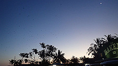 pa270124_thumb.jpg