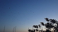 pa270127_thumb.jpg