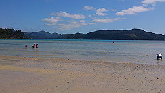 dsc_0113_thumb.jpg