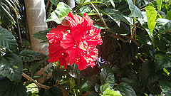 pa280145_thumb.jpg