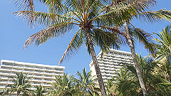 pa280155_thumb.jpg