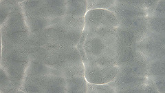 pa280164_thumb.jpg