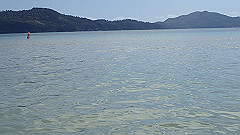 pa280167_thumb.jpg