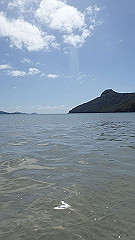 pa280173_thumb.jpg