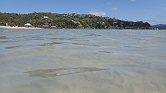 pa280175_thumb.jpg