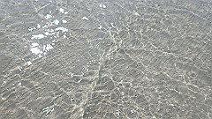 pa280176_thumb.jpg