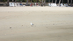 pa280181_thumb.jpg