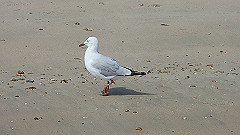 pa280182_thumb.jpg